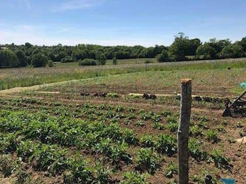 Vivre la ruralité à la Bazonnière