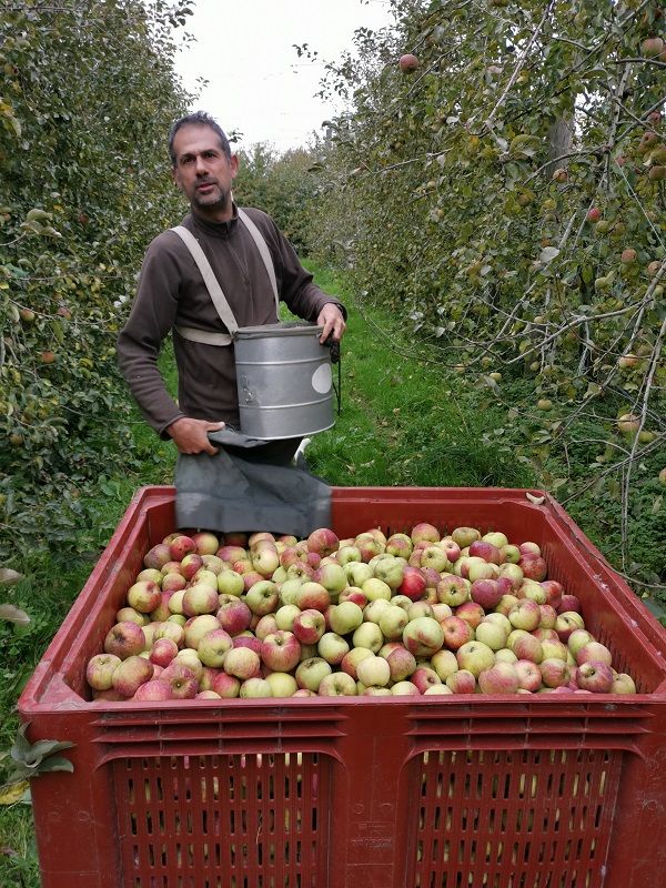 Le verger de Pirouette