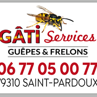 Gâti services Guêpes et frelons