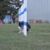 SPACE Saint Pardoux Agility Club d'Entrainement