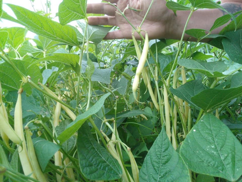 Les Jardins de la Bassetière