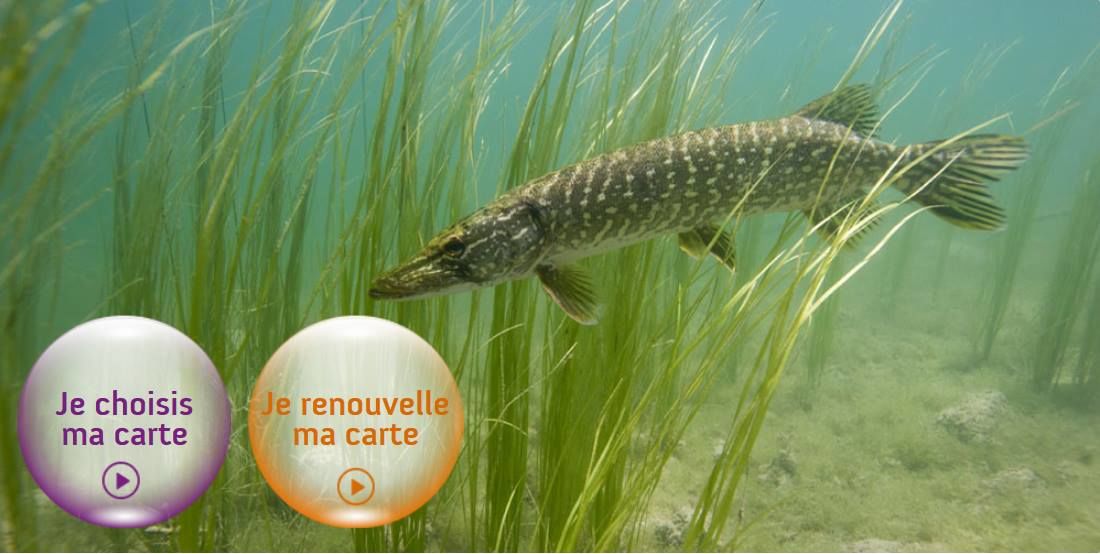 APPMA La Brême Parthenaisienne
