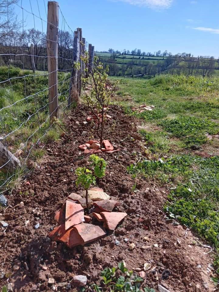 Vivre la ruralité à la Bazonnière