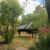 CG PIANOS