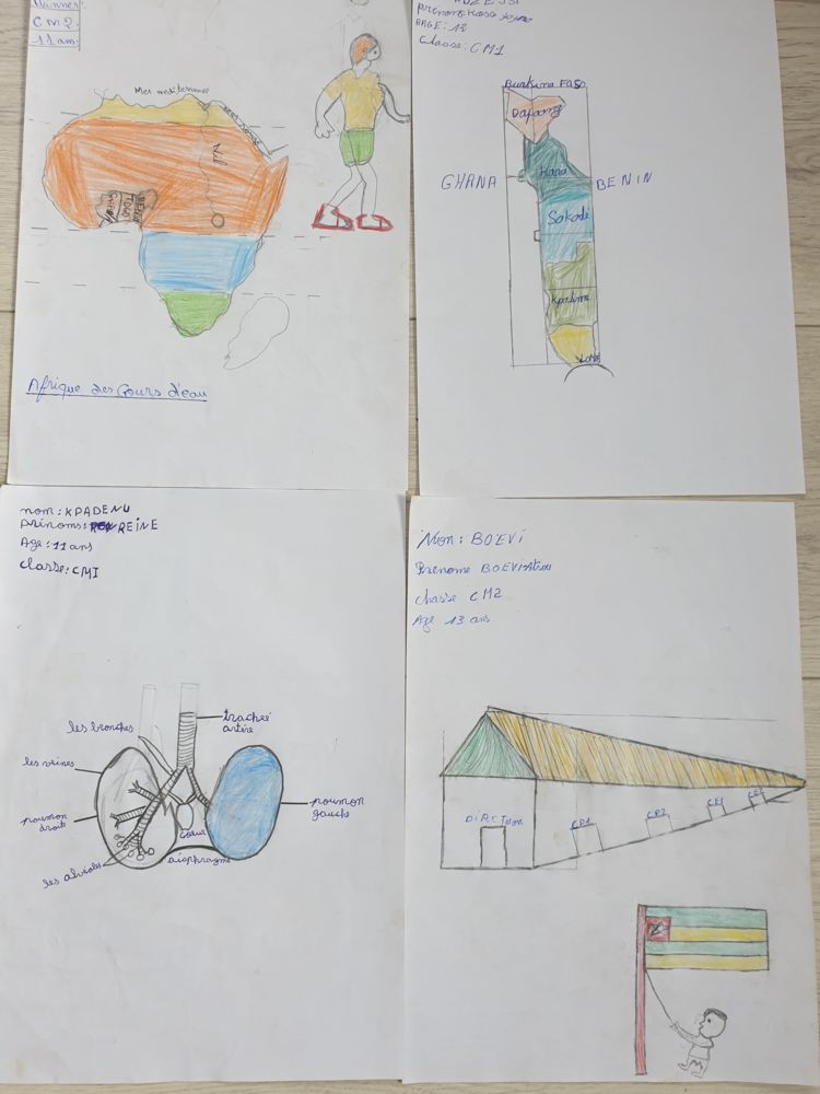 Comité de Jumelage Sud Gâtine - Agou Yiboé