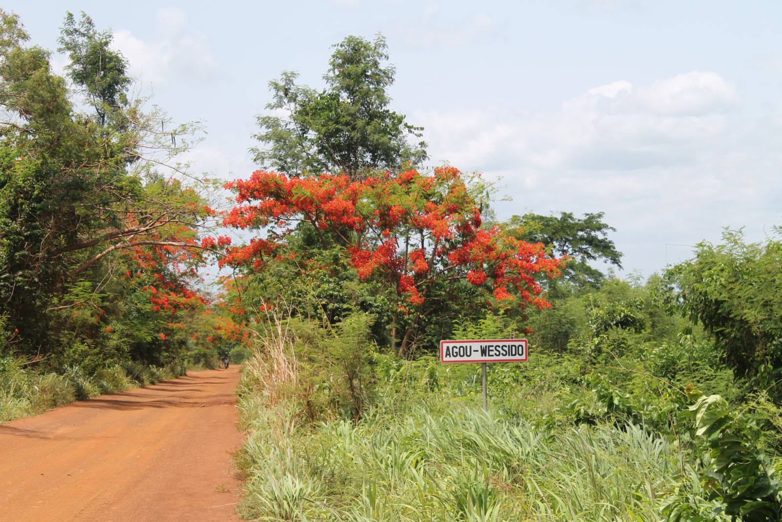Comité de Jumelage Sud Gâtine - Agou Yiboé