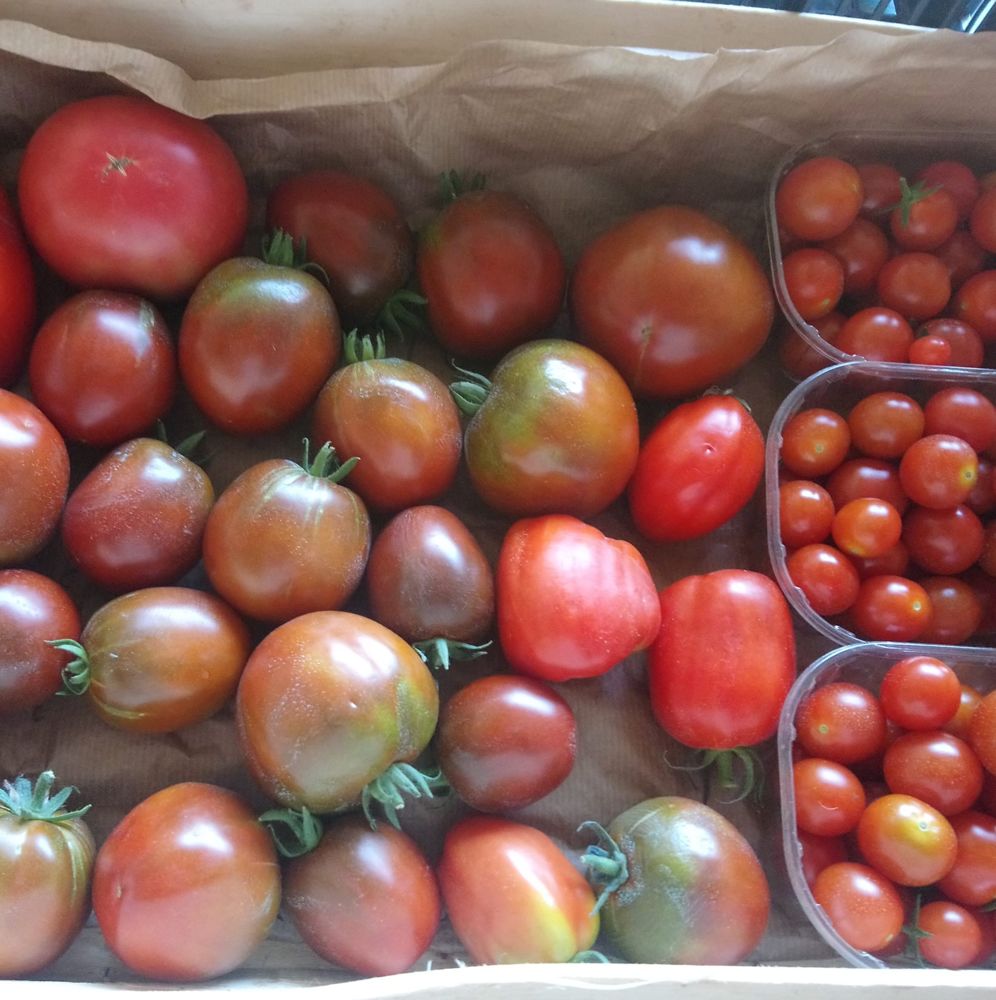 Les Jardins de la Bassetière