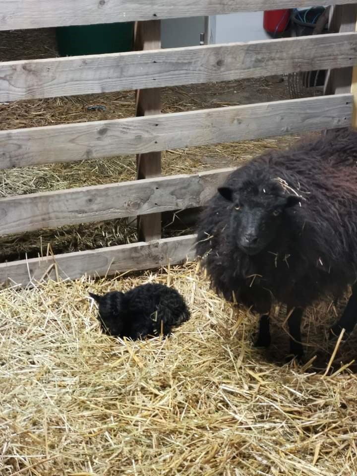 Vivre la ruralité à la Bazonnière