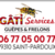Gâti services Guêpes et frelons