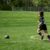 Football Club Sud Gâtine