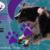 SPACE Saint Pardoux Agility Club d'Entrainement