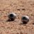 Pétanque Saint-Pardousienne
