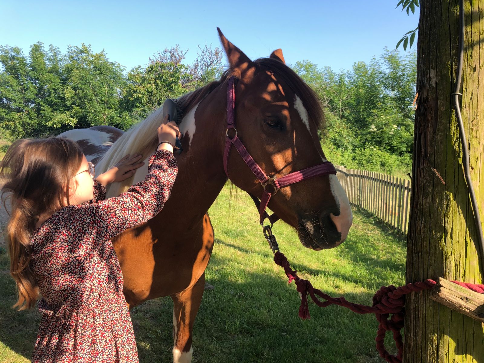 Gîte à la ferme "La Marsandière"