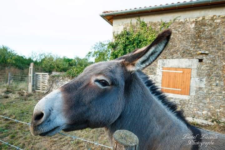 Vivre la ruralité à la Bazonnière