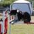 SPACE Saint Pardoux Agility Club d'Entrainement