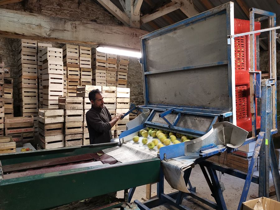 Le verger de Pirouette