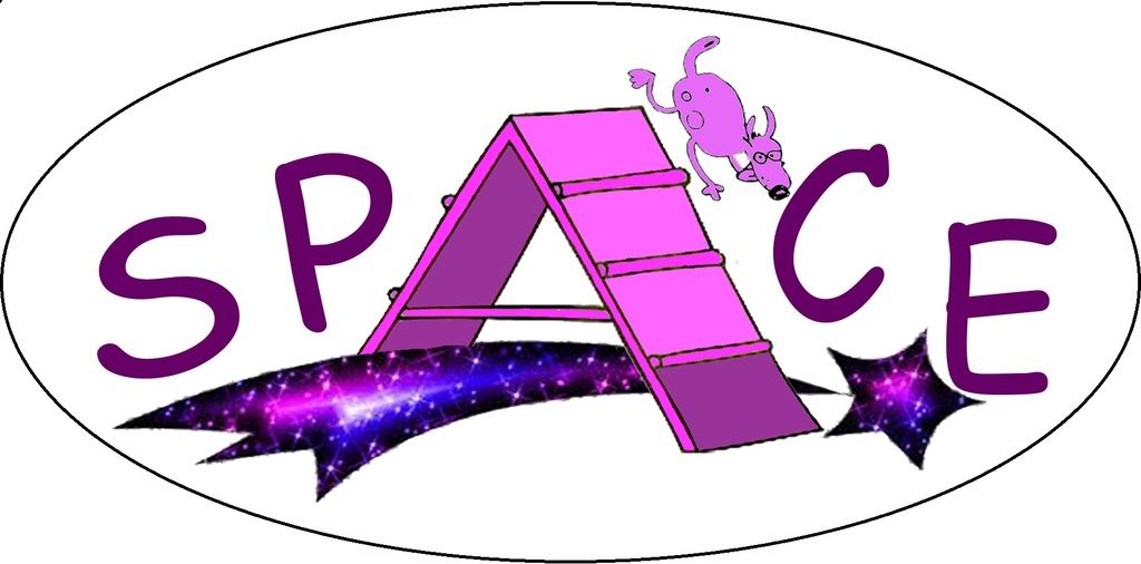 SPACE Saint Pardoux Agility Club d'Entrainement